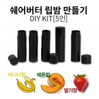 DIY KIT 쉐어버터 립밤만들기 5개